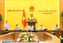 Tháo gỡ khó khăn về dòng tiền cho doanh nghiệp bị ảnh hưởng bởi dịch bệnh